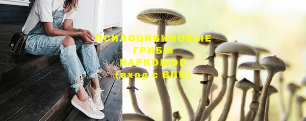 эйфоретик Алзамай