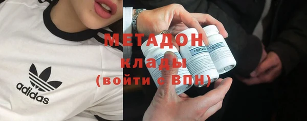 прущие грибы Алексеевка