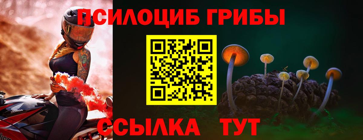 Галлюциногенные грибы MAGIC MUSHROOMS  Вход с VPN  Михайловск 