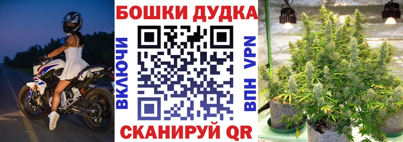 Шишки марихуана LSD WEED  цена наркотик  Михайловск 